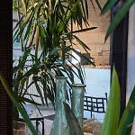 Le Bussy Hotel Montsoreau