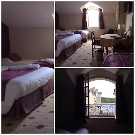 Hotel Le Bussy Montsoreau