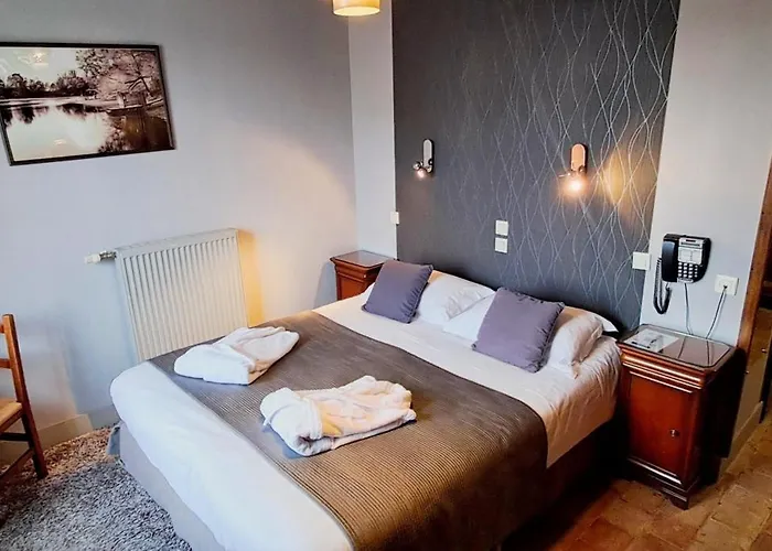 Logis Le Bussy Hotel Montsoreau