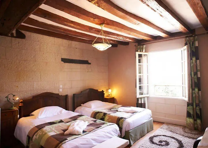 Le Bussy Hotel Montsoreau